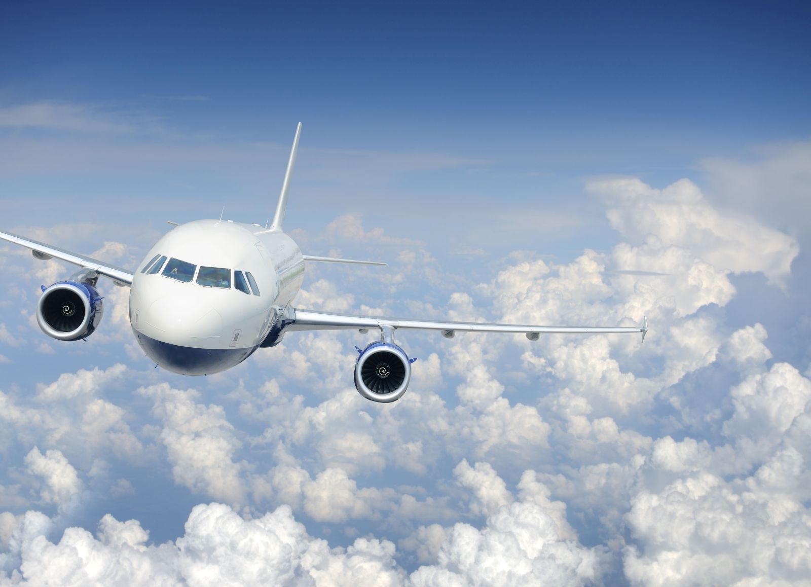 Airplane in the sky
